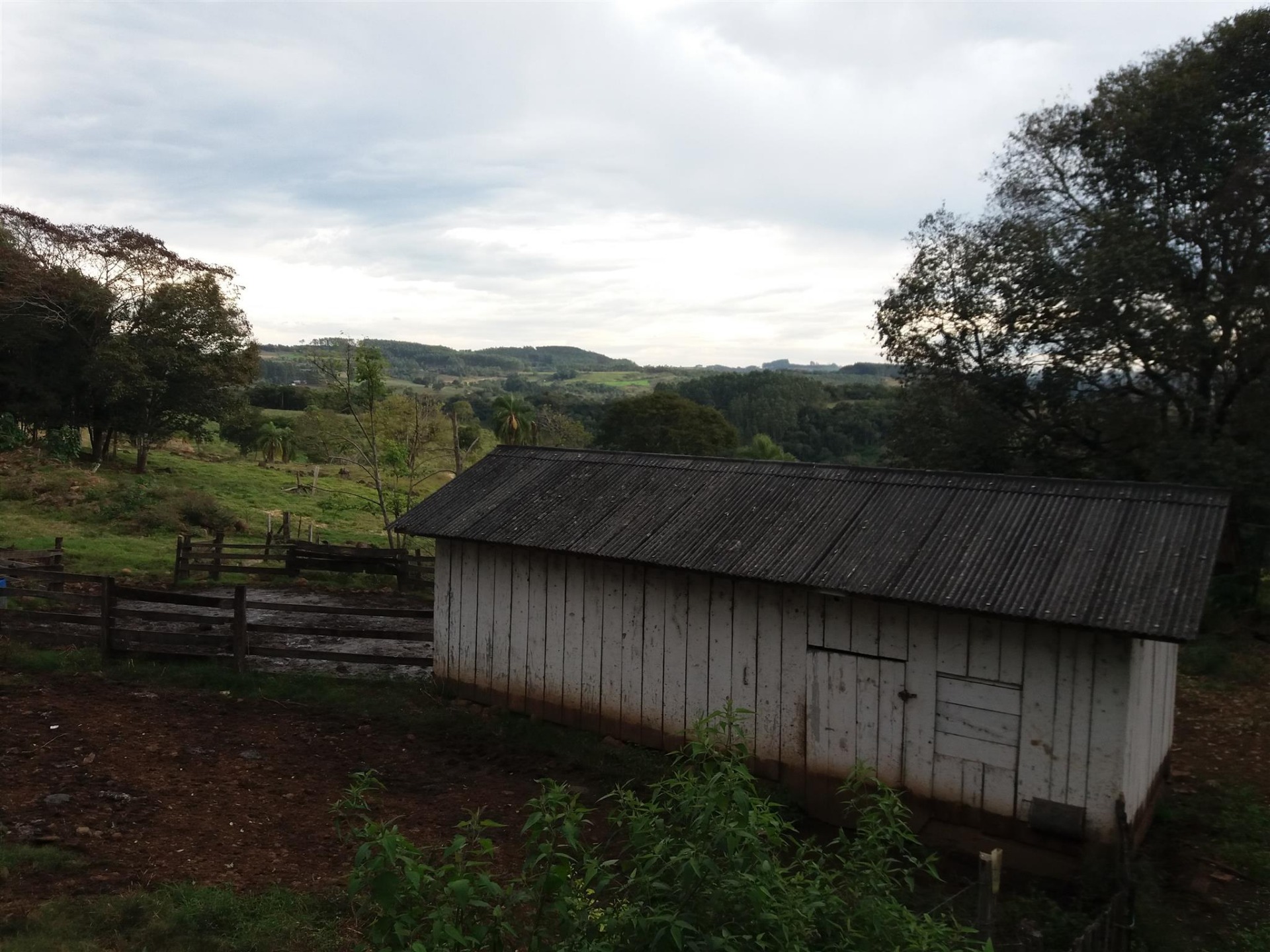 A sala de ordenha é o xodó da agricultora | Foto: André Pomagerski